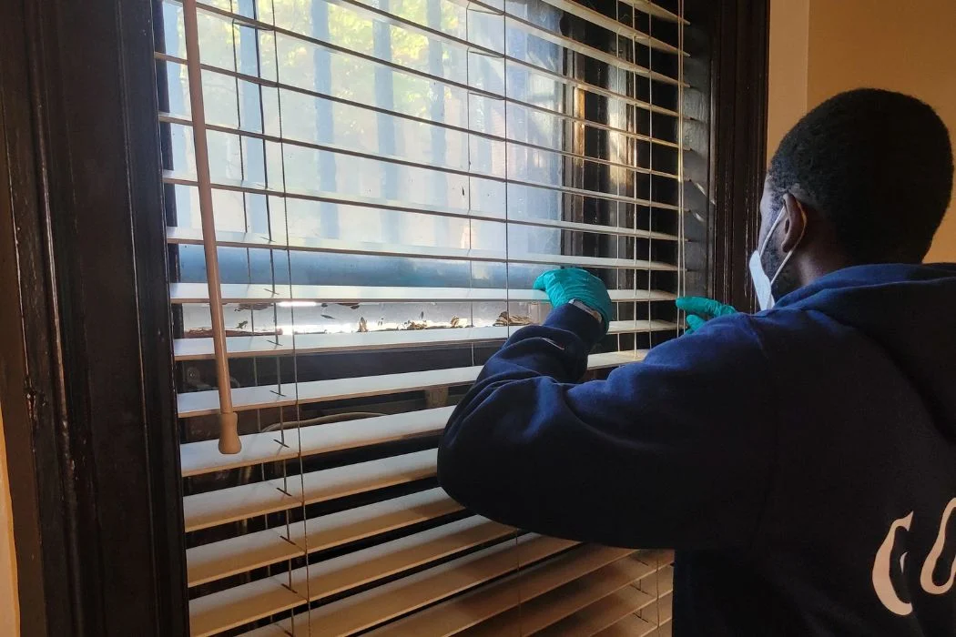 Blinds-Cleaning